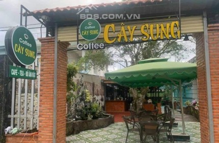 Bán đất tặng kèm quán cf tâm huyết ngay TL7 , An Nhơn Tây , Củ Chi