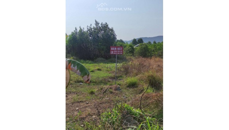 bán đất chính chủ full thổ cư Kiên Lương-Kiên Giang (584m2)