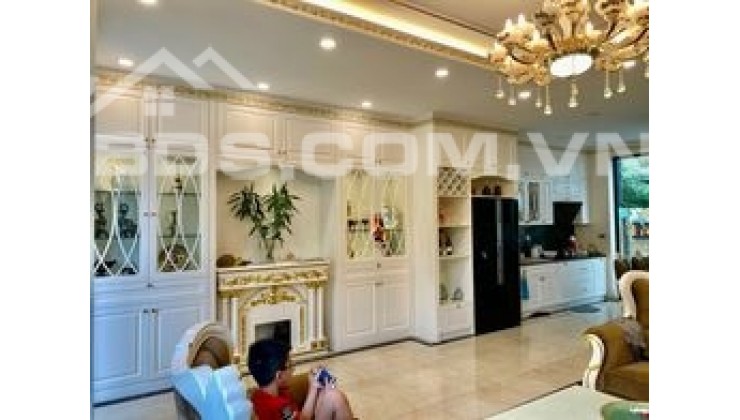 Cần cho thuê Biệt Thự siêu đẹp tại Hamony Long Biên, giá siêu rẻ chỉ với 25tr/tháng.