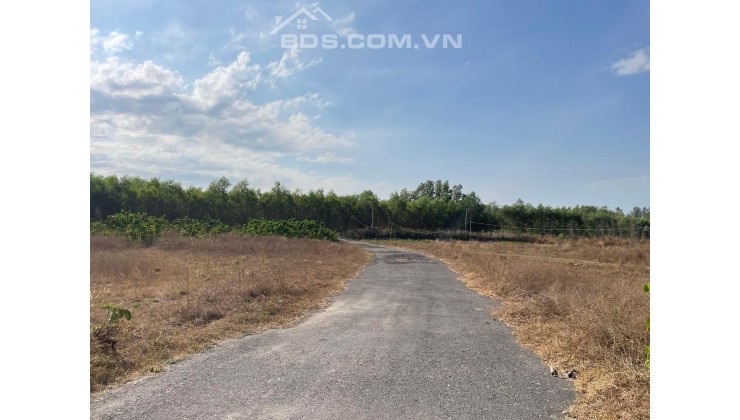 Bán 1150m2 đất vườn tại xã Phước Bình, Huyện Long Thành - Giáp ranh Thị Xã Phú Mỹ