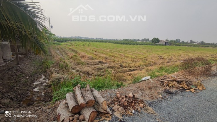 Bán lô đất lúa chuyển thổ hai mặt tiền Xã Đức Tân giá 7 tỷ