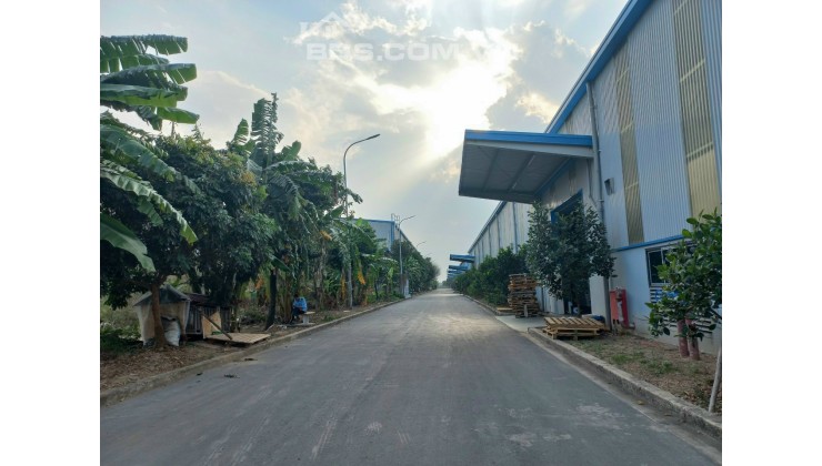 Nhà xưởng cho thuê tại Yên Mỹ, Hưng Yên đường rộng 2 xe công tránh nhau thoải mái, gần QL5