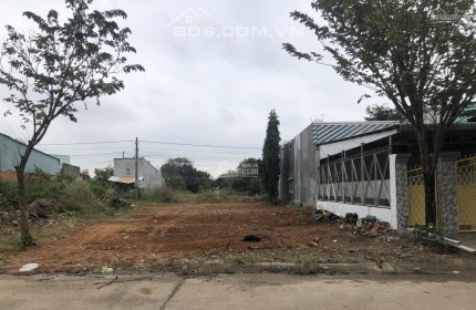 ĐẤT NGỘP 5X40=200M2 SHR NGAY CHỢ TRƯỜNG HỌC, DÂN ĐÔNG GIÁ 160 TRIỆU