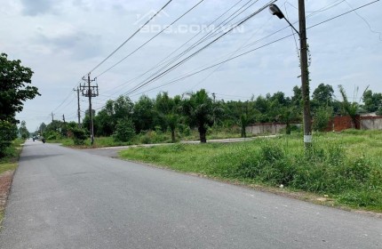 (20X35)=700M2 SHR, GIÁ 390TR/ 5M ĐỐI DIỆN KCN, THÍCH HỢP KINH DOANH CFE XÂY NHÀ TRỌ