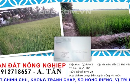 Bán đất nông nghiệp, xã Phú Hữu, huyện An Phú, An Giang