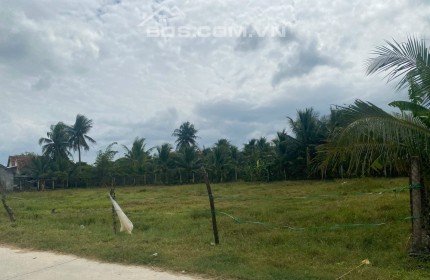 MÃ 955 - 956: (NH-11,12) BÁN LÔ CẶP PHÚ HÒA, NINH QUANG, NINH HÒA