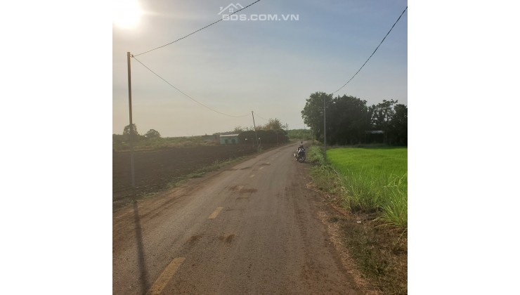 Bán đất mặt tiền đường nhựa xã Phước Long Thọ, huyện Đất Đỏ, tỉnh BRVT.