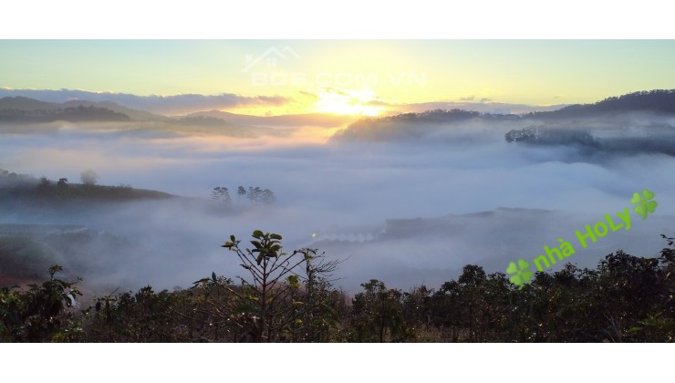 Đất săn mây Đạ Sar, Đà Lạt, diện tích 10600m2 giá 5,8ty, đất trích lục