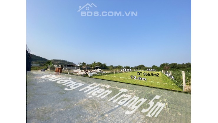 Bán đất Phước Đồng Nha Trang gần đường Phong Châu cách khu TĐC Đất Lành 900m giá chỉ 4,6 triệu/m2