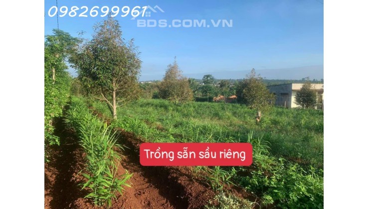 Bán đất sát trường học QL29 DT 500m2 đường bê tông