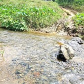 Bán đất Khánh Thượng giá rẻ giáp suối chảy quanh năm - khí hậu trong lành