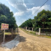 Đất Định Quán, Đồng Nai. Giá 850tr/ Sổ Hồng Riêng Mặt tiền đường bê tông siêu đẹp