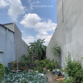 Bán đất sổ riêng, thổ cư 100% trung tâm Biên Hoà, P. Tam Hiệp. 
 giá chỉ 19tr/m2