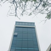 Bán nhà mặt phố Bà Triệu, phố Vip, kinh doanh sầm uất 205m, mt 8m, nở hậu nhẹ, hơn 100tỷ