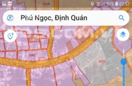 Chính chủ bán nhanh một sào (1000m2) đất Phú Ngọc, Định Quán, Đồng Nai, cách Quốc Lộ 20 khoảng 500m, giá tốt