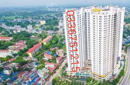 TECCO ELITE CITY THÁI NGUYÊN CƠ HỘI VÀNG DÀNH CHO NHỮNG NHÀ ĐẦU TƯ THÔNG THÁI