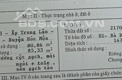 Bán Bất động sản tại 15/3 Đường Bà Điểm, Trung Lân, Bà Điểm, Hóc Môn, TP.HCM