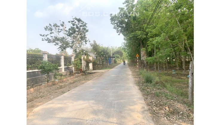 Bán đất nông nghiệp mặt tiền đường 821 hoặc Đường Phạm Thị Quới (lộ giới 12m) tại Củ Chi, TP.HCM