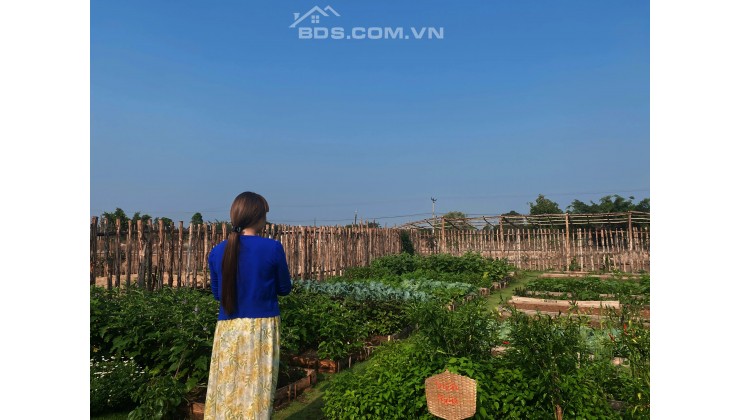 Chính chủ cần bán lô đất siêu rẻ tại Tiên Sơn 3, xã Tân Sơn, tp Pleiku, Gia Lai