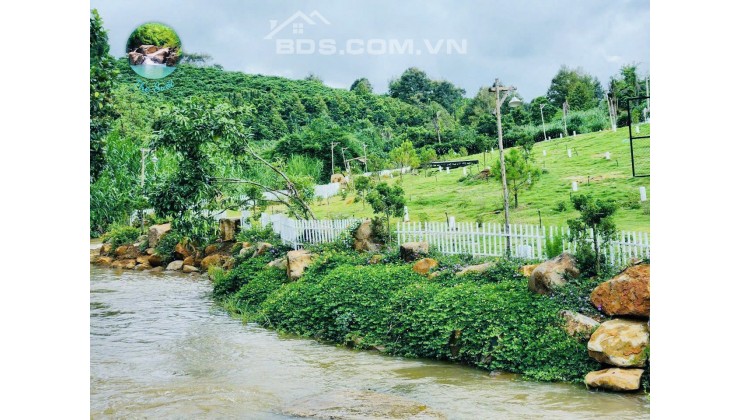 Cơ hội đầu tư đất nền Bảo Lộc ven suối chỉ 790 triệu cùng Kim Sơn Group