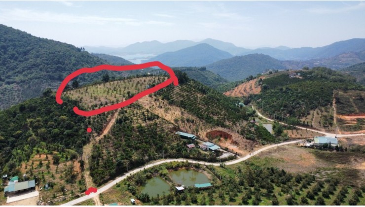 Chính chủ cần bán lô đất Lộc Nam có sẳn sầu riêng