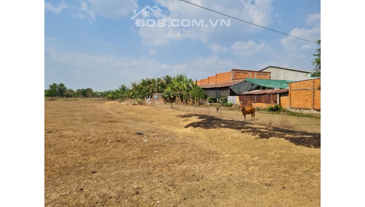 Bán gấp lô đất Mặt tiền đường ĐT 821, xã Lộc Giang, huyện Đức Hòa, tỉnh Long An