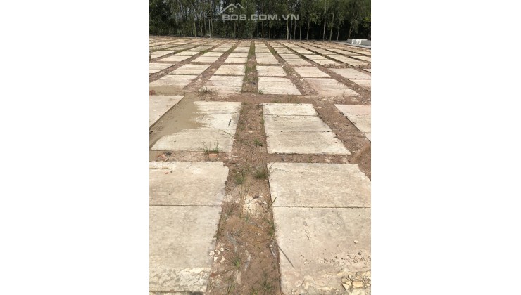 Bán các loại huyệt mộ đất nghĩa trang tại Đức Huệ Long An