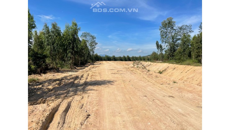 bán gấp 12,504m2 đất mặt tiền đường kênh nước Tân Xuân-LaGI, giá ngộp 180 triệu/1 xào