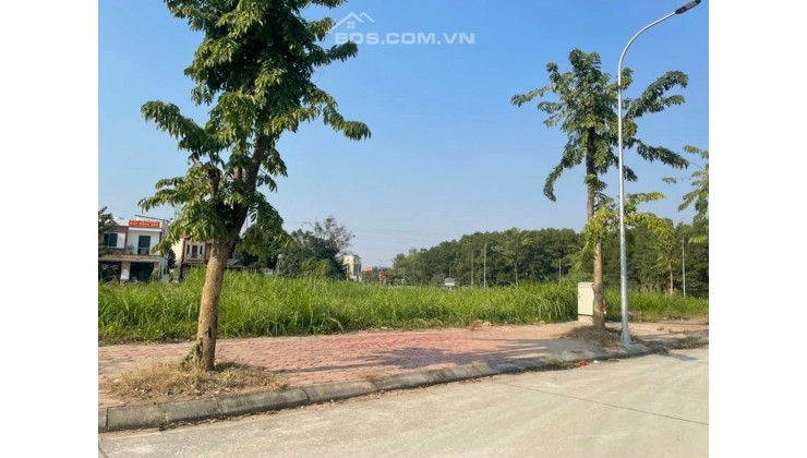 BÁN ĐẤT ĐẤU GIÁ KHOANG BÈO CHƯƠNG MỸ 107.5M2