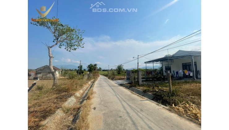 CHÍNH CHỦ BÁN 431M2 (QH FULL THỔ) TẠI THÔN LAM SƠN, X. NINH SIM, TX NINH HÒA