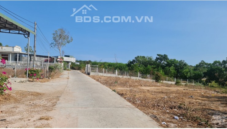 bán gấp 5x48 full thổ cư gần biển Cam Bình, xã Tân Phước, Thị Xã LaGi, Bình Thuận. Giá rẻ