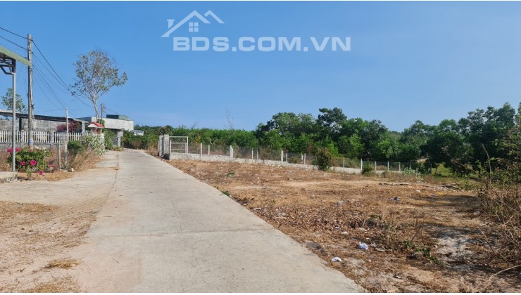 bán gấp 5x48 full thổ cư gần biển Cam Bình, xã Tân Phước, Thị Xã LaGi, Bình Thuận. Giá rẻ