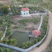 Bán căn nhà vườn Ea NuôL Hòa Nam ĐakLak2000m giá chỉ 1,3 tỷ