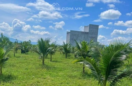 Bán farm nhà yến và vườn dừa Ninh Thượng - Ninh Hòa - giáp suối chảy quanh năm