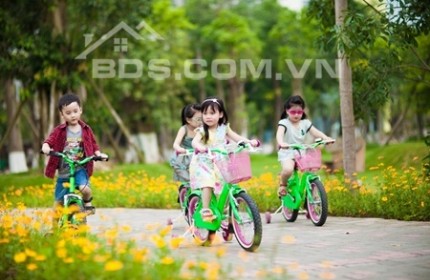 Bạn tìm kiếm cơ hội đầu tư sinh lời cao? Đất nền đối diện chợ ngay Hội An là lựa chọn hoàn hảo