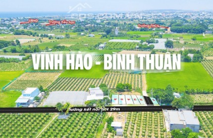 Đất Biển Bình Thuận giá đầu tư năm 2024