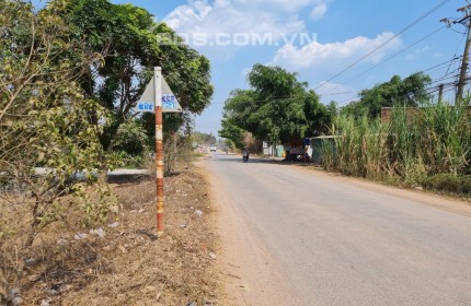 Bán đất Mặt tiền đường ĐT 821, tại xã Lộc Giang, huyện Đức Hòa, tỉnh Long An