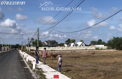 1000m2 Long Mỹ 200tc, mt 12.4m, khu QH đô thị DL biển cùng Phước Hải, 4ty5 bao thuế phí