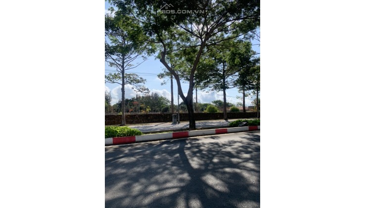 Cần bán lô đất đẹp mặt tiền đường Nguyễn An Ninh, TP Vũng Tàu, Giá đầu tư