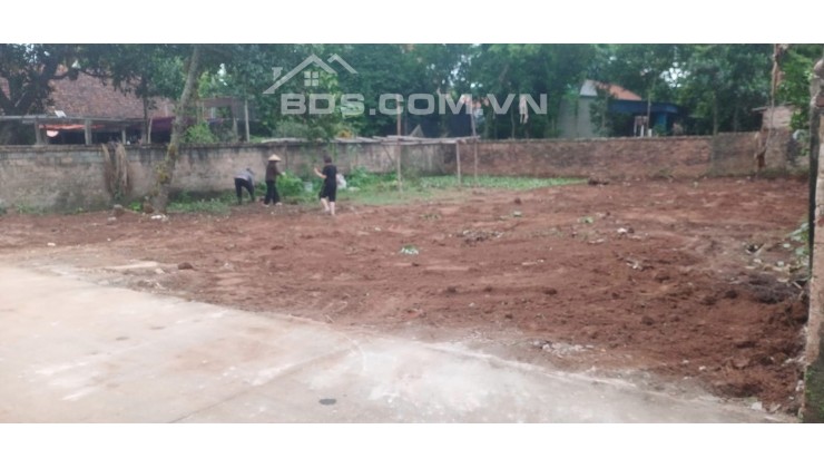 Đất 387m2, Full thổ cư, tk 4, Thụy Hương, Chương Mỹ, giá chỉ 1x tr/m2, ô tô, ngõ thông
