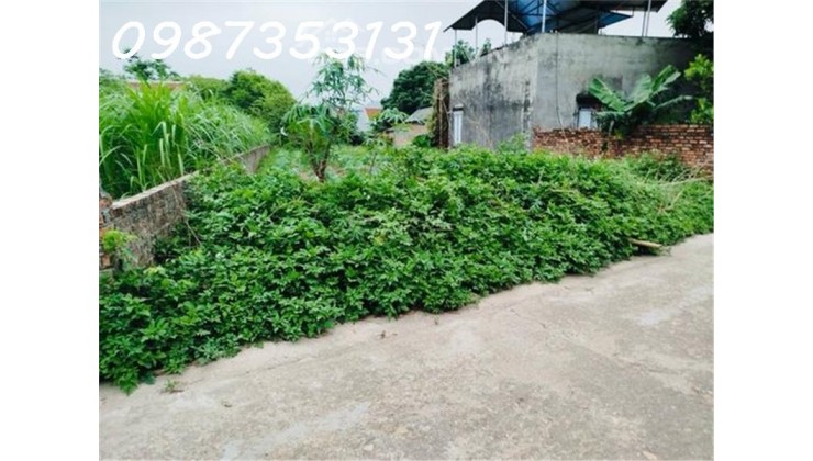 Chỉ 2,x tỷ Có 360m2 đất Minh Phú , Sóc Sơn tuyệt đẹp con đường thông rộng 4m.