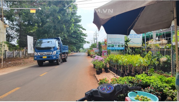 Siêu phẩm The Calista- Tâm điểm đầu tư, an cư lạc nghiệp.