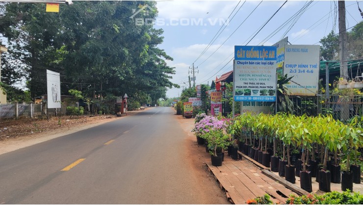 Siêu phẩm The Calista- Tâm điểm đầu tư, an cư lạc nghiệp.