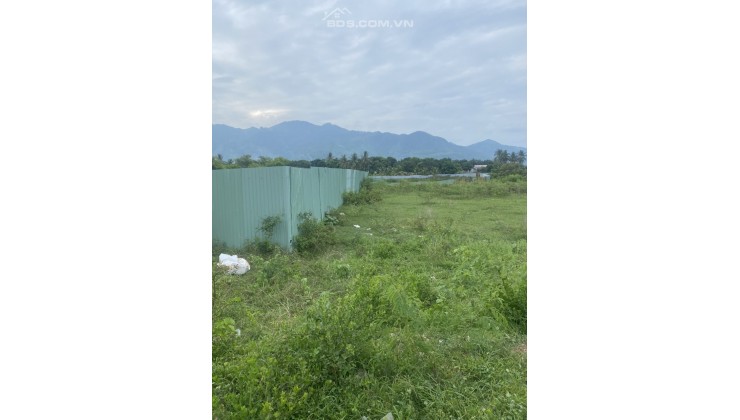 Bán đất trồng cây lâu năm địa chỉ Thôn Bắc Vĩnh, Cam Lâm, Khánh Hòa
