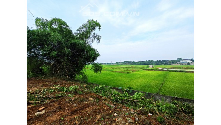 Lô đất view cánh đồng bát ngát, Hoà Thạch, Quốc Oai, HN