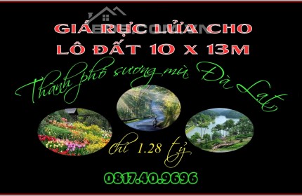 Giảm tẹt ga lô đất 10 x 13m làng hoa Thái Phiên Thành Phố Đà Lạt