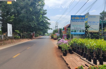 Siêu phẩm The Calista- Tâm điểm đầu tư, an cư lạc nghiệp.