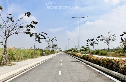 BÁN ĐẤT TCLN 1000M2= 5.5 TỶ VĨNH LỘC BÌNH CHÁNH- THÍCH HỢP XÂY BIỆT THỰ VƯỜN