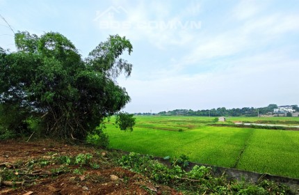 Lô đất view cánh đồng bát ngát, Hoà Thạch, Quốc Oai, HN