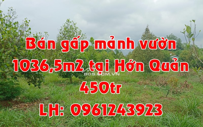 RA NHANH MẢNH VƯỜN HƠN 1000M2 CHỈ 450TR